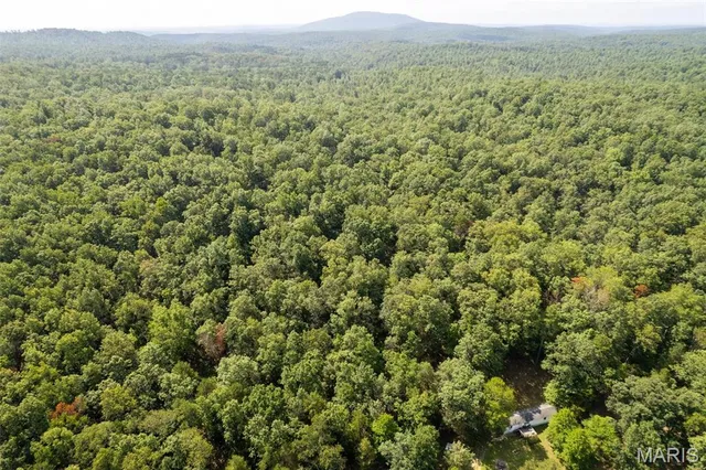 $336,000 | 2168 Highway 49, Piedmont, MO 63957