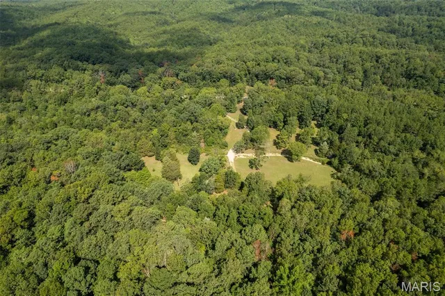 $336,000 | 2168 Highway 49, Piedmont, MO 63957