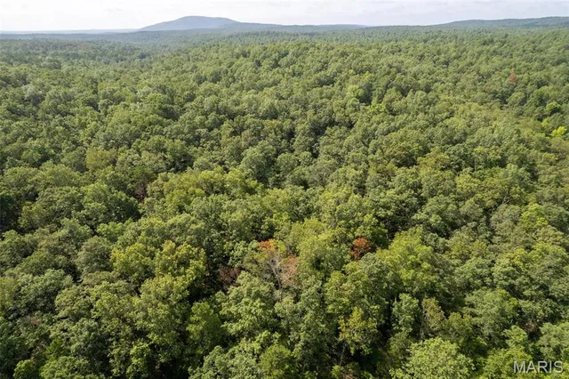 $336,000 | 2168 Highway 49, Piedmont, MO 63957