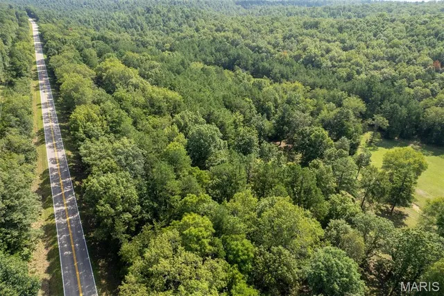 $336,000 | 2168 Highway 49, Piedmont, MO 63957