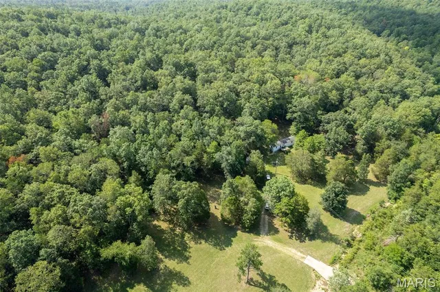 $336,000 | 2168 Highway 49, Piedmont, MO 63957