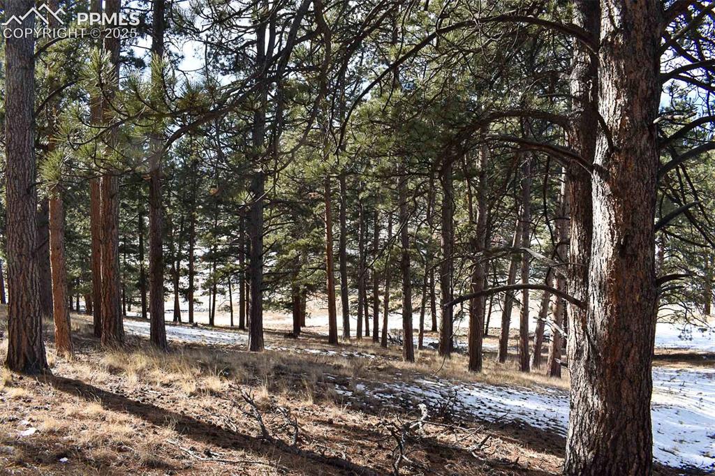 6th Street Guffey, CO 80820 - Photo 17 of 28
