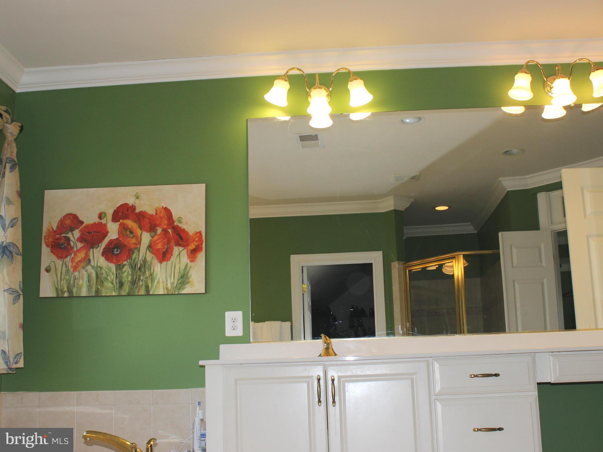18519 Kerill Road Triangle, VA 22172 - Photo 20 of 27 Bath (Master)