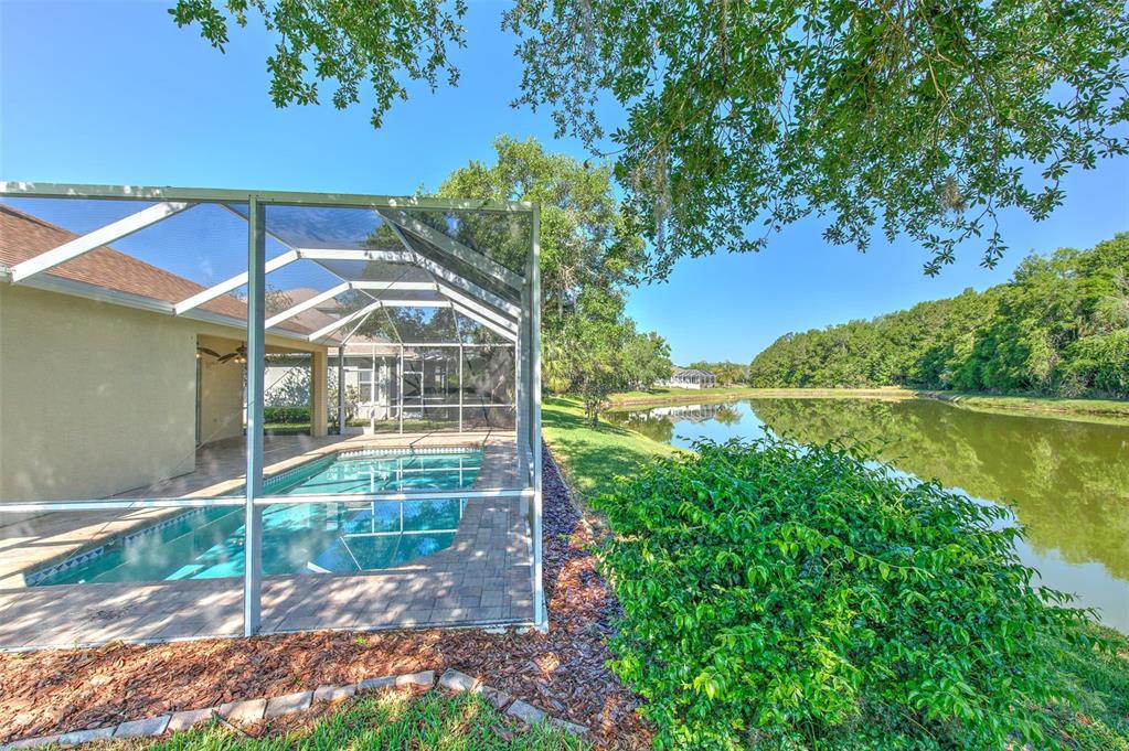 27601 Baybrook Loop Wesley Chapel, FL 33544 - Photo 3 of 34