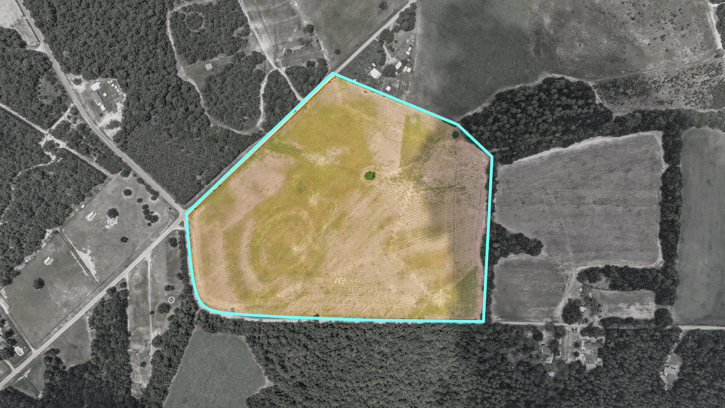 0 Bodie Road Wagener, SC 29164 - Photo 20 of 21