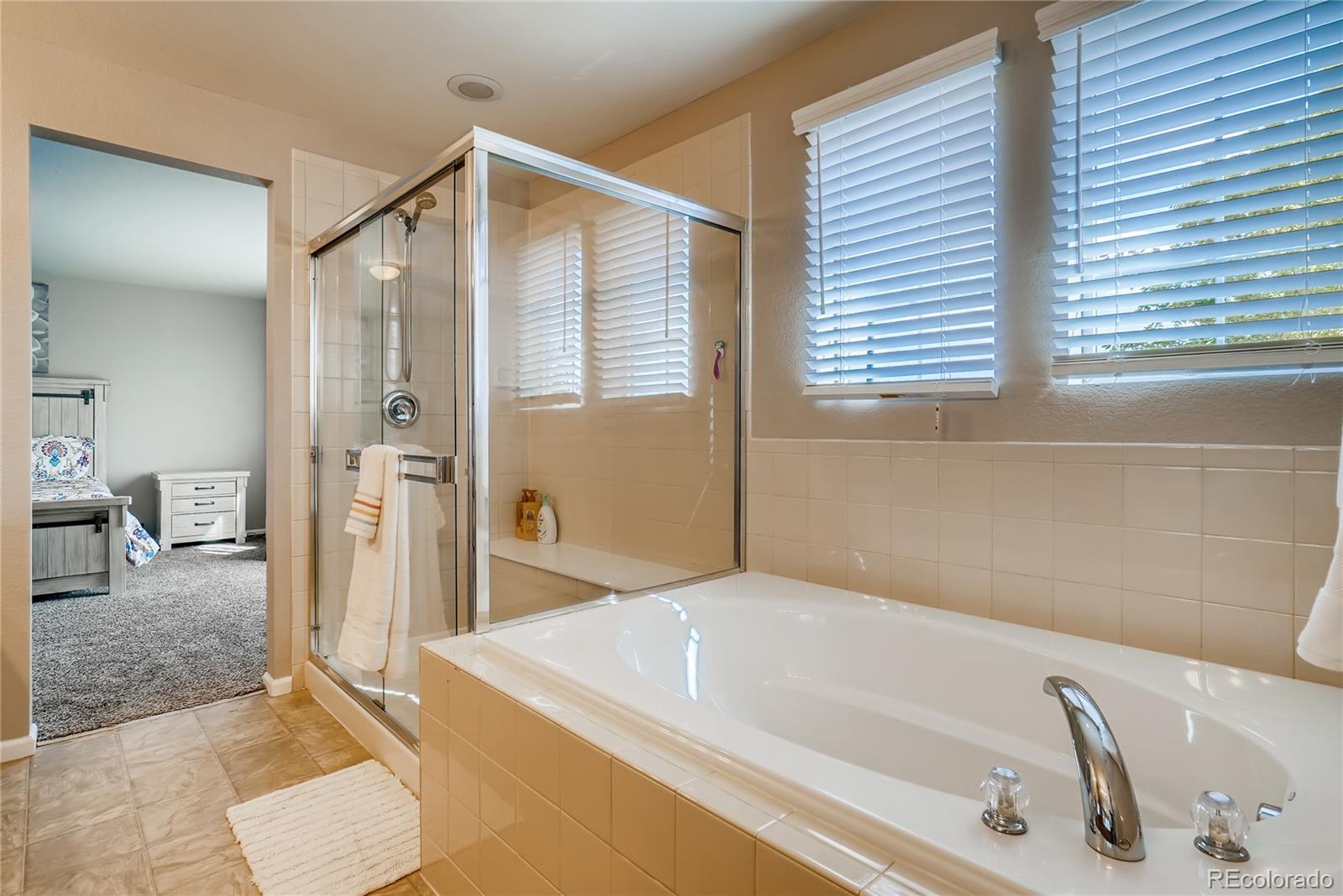 20761 Randolph Place Denver, CO 80249 - Photo 12 of 25 a bathroom with a tub a sink and a large mirror