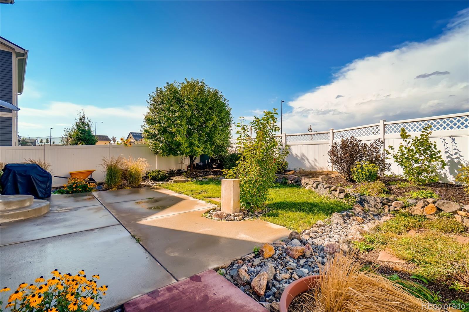 20761 Randolph Place Denver, CO 80249 - Photo 24 of 25 a view of a backyard