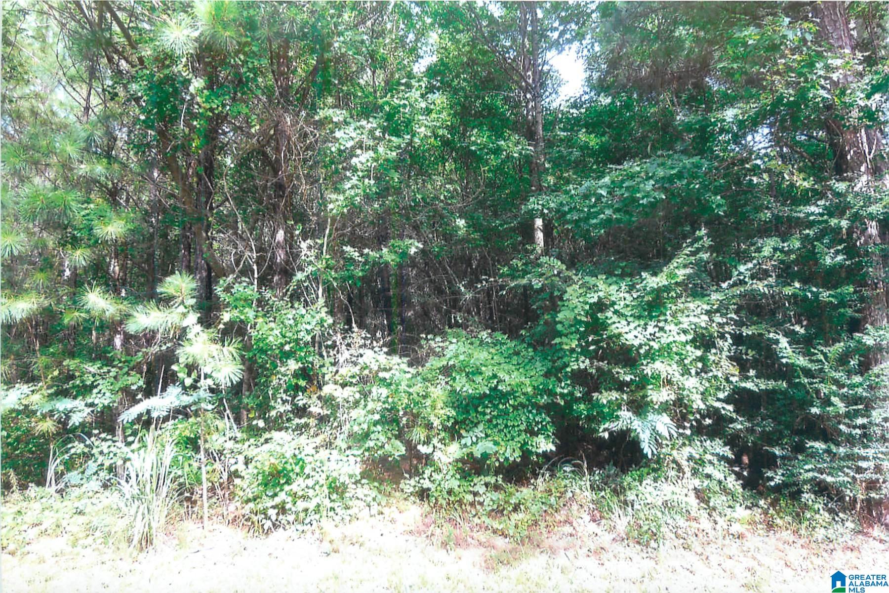 0 Dry Creek Road, Unit 15 ACRES Pell City, AL 35128 - Photo 2 of 2