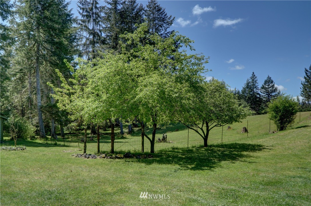 2640 West Fish Hatchery Road Elma, WA 98541 - Photo 25 of 25 Gallery Image 25