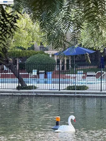 $3,000 | 320 North Civic Drive, Walnut Creek, CA 94596