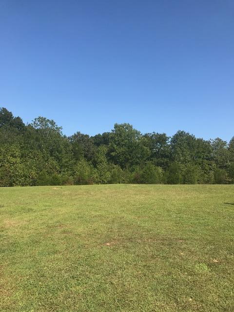 10546 Back Piney Road Bon Aqua, TN 37025 - Photo 4 of 16 Gallery Image 4