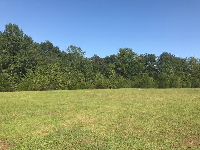 10546 Back Piney Road Bon Aqua, TN 37025 - Photo 6 of 16 Gallery Image 6