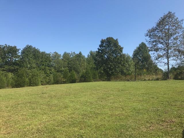 10546 Back Piney Road Bon Aqua, TN 37025 - Photo 7 of 16 Gallery Image 7
