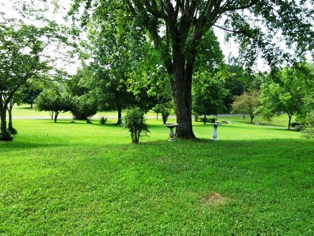 274 Samples Chapel Road Southeast Cleveland, TN 37323 - Photo 29 of 39 a view of green field with trees