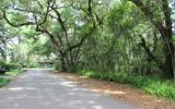 2 Willow Pond Road Fernandina Beach, FL 32034 - Photo 4 of 5 Gallery Image 4