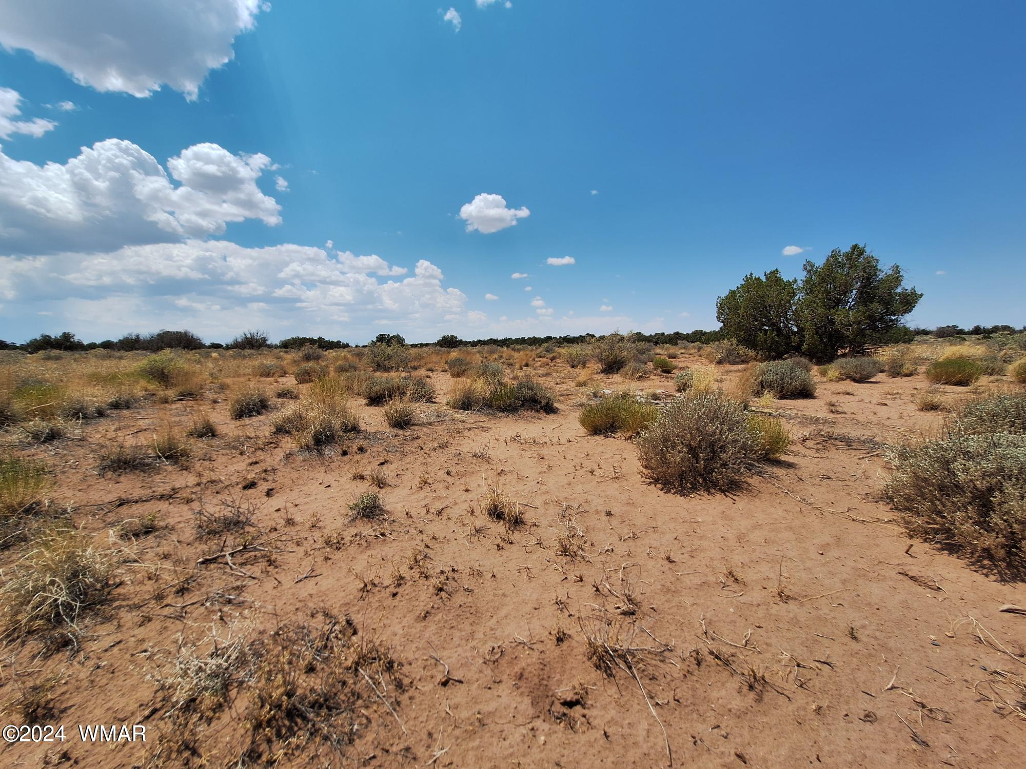 5137 Pima Road Snowflake, AZ 85937 - Photo 6 of 9 a view of a dry yard with wooden fence