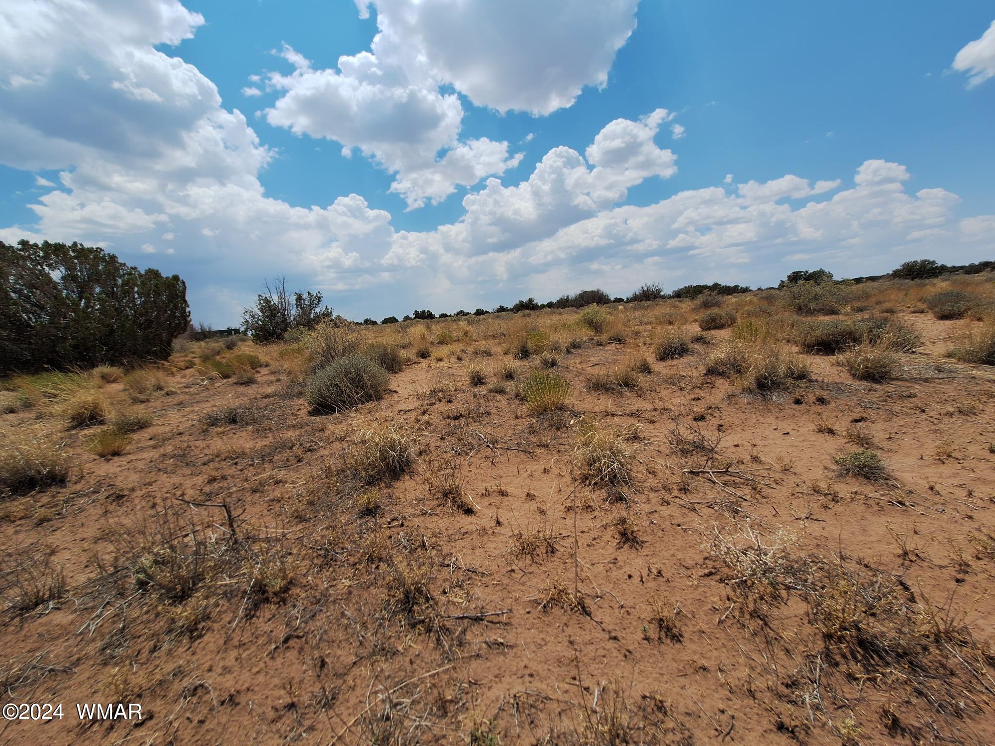 5137 Pima Road Snowflake, AZ 85937 - Photo 7 of 9 a view of a sky