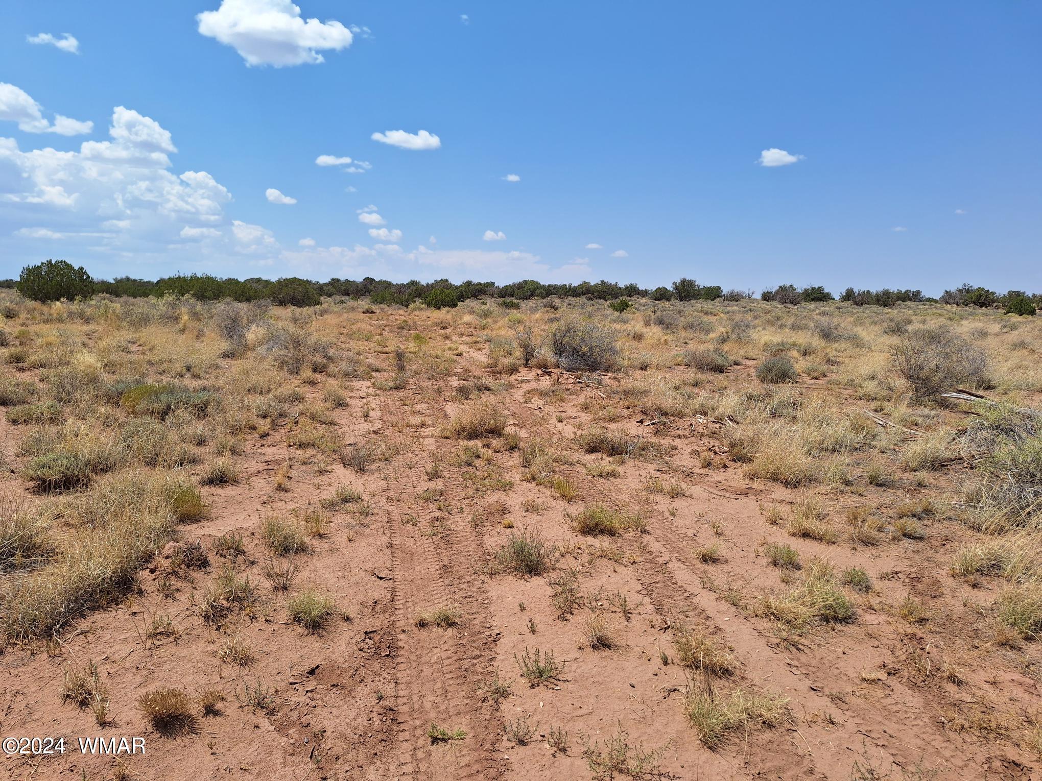 5137 Pima Road Snowflake, AZ 85937 - Photo 8 of 9