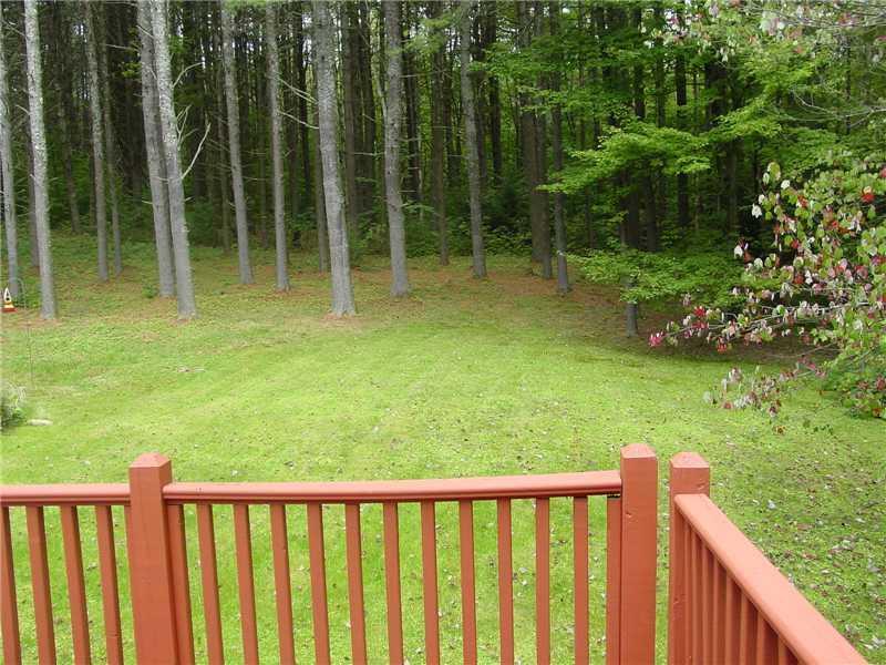 299 River Road Livermore, ME 04253 - Photo 9 of 18 Exterior Back. VIEW FROM REAR DECK.