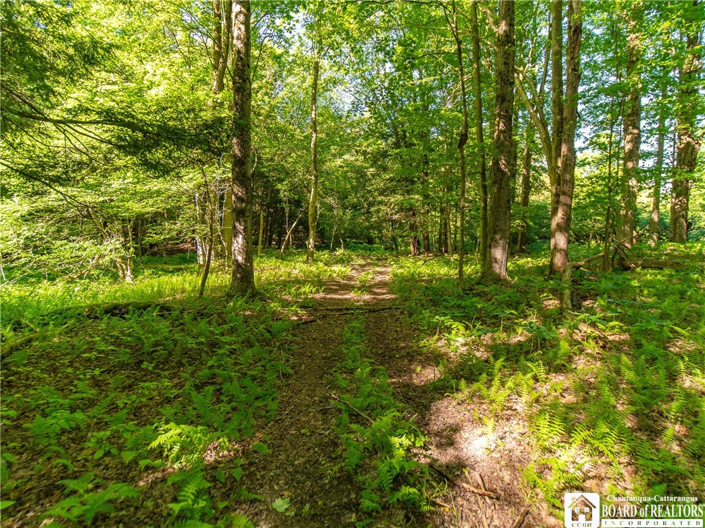 3946 Camp Road Sherman, NY 14781 - Photo 35 of 48