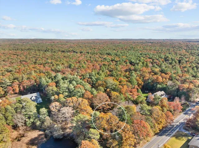 a view of a backyard with plants and entertaining space
