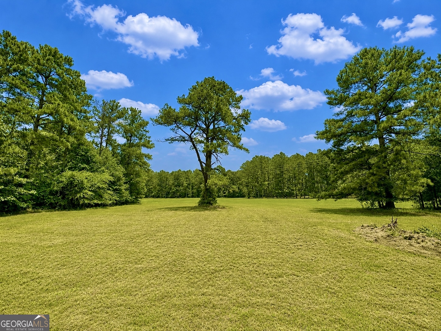 0 Evergreen Road Dublin, GA 31021 - Photo 5 of 16