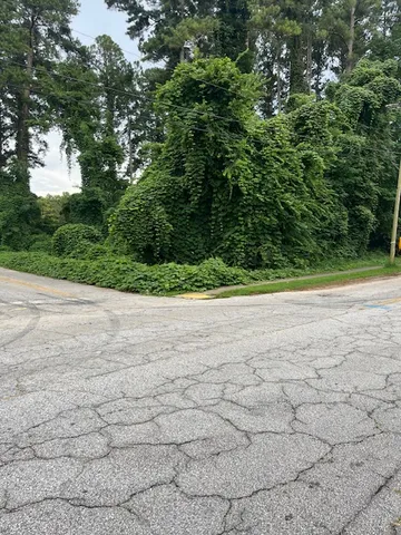 $50,000 | 0 Branch Street, Walhalla, SC 29691