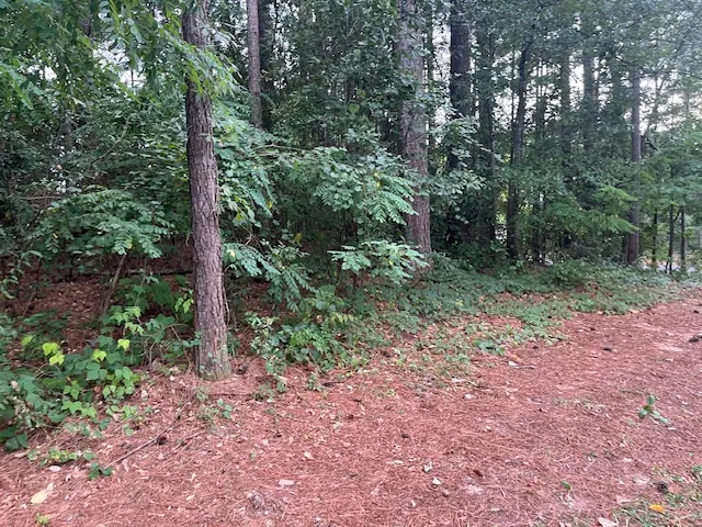 $50,000 | 0 Branch Street, Walhalla, SC 29691