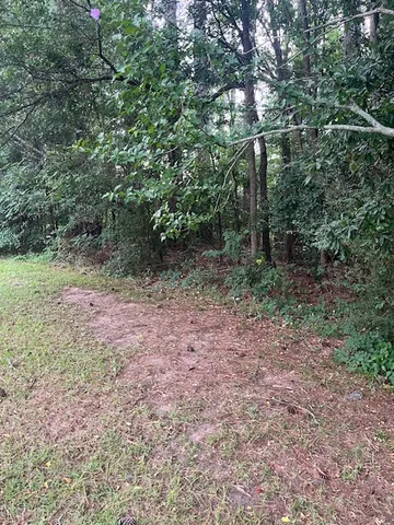 $50,000 | 0 Branch Street, Walhalla, SC 29691