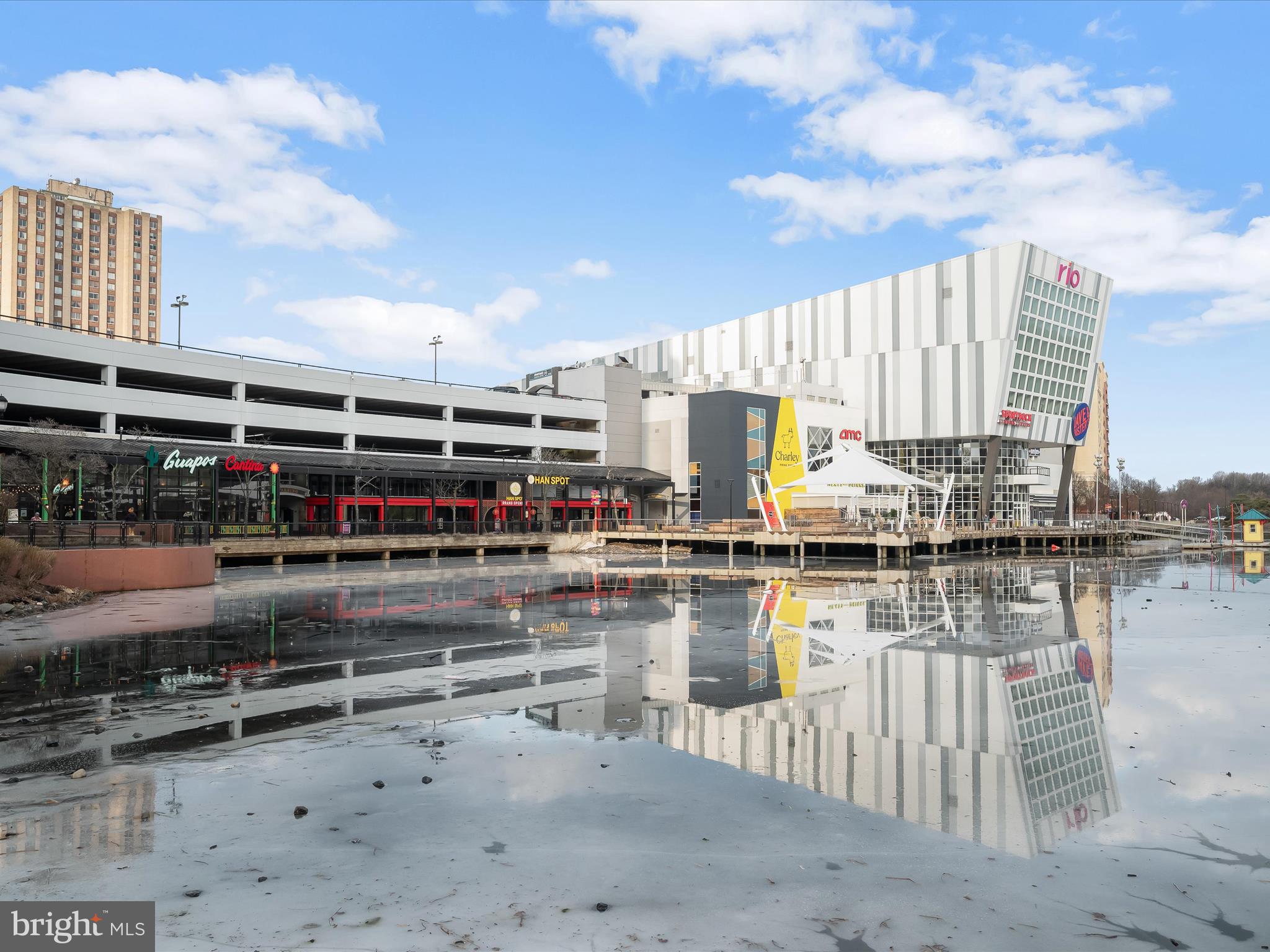 9701 Fields Road, Unit 1607 Gaithersburg, MD 20878 - Photo 29 of 42 a view of ocean with boats and trees in the background