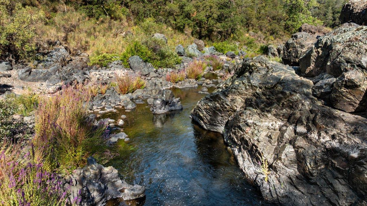 23392 Meyer Ravine Road Grass Valley, CA 95949 - Photo 2 of 58 a view of a lake with lots of trees