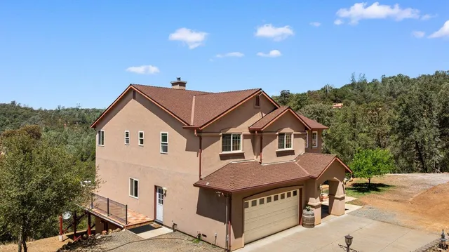 a view of a bunch of flowers