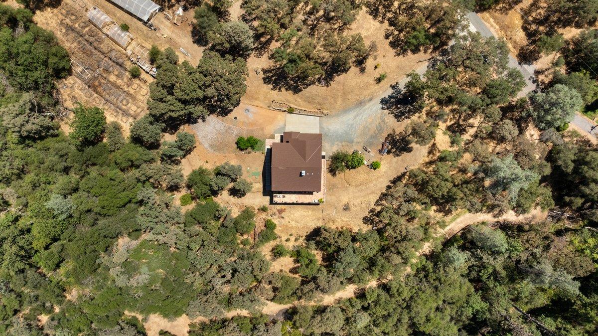 23392 Meyer Ravine Road Grass Valley, CA 95949 - Photo 39 of 58 a view of a yard with plants and trees