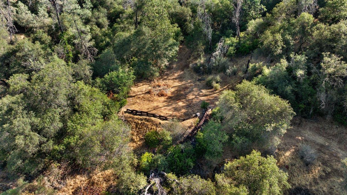 23392 Meyer Ravine Road Grass Valley, CA 95949 - Photo 42 of 58 a aerial view of a house with a yard and large trees