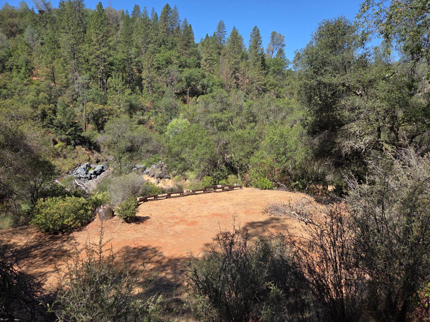 23392 Meyer Ravine Road Grass Valley, CA 95949 - Photo 44 of 58 a view of a yard with a tree