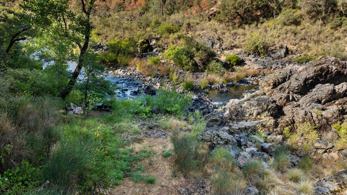 23392 Meyer Ravine Road Grass Valley, CA 95949 - Photo 47 of 58 a view of a forest with a tree