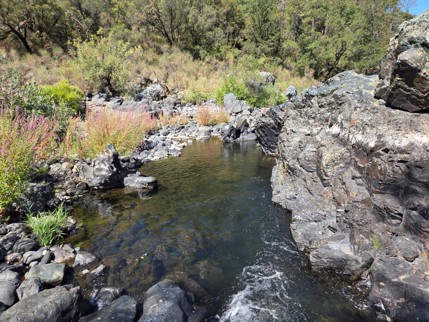 23392 Meyer Ravine Road Grass Valley, CA 95949 - Photo 49 of 58 a view of lake with green space