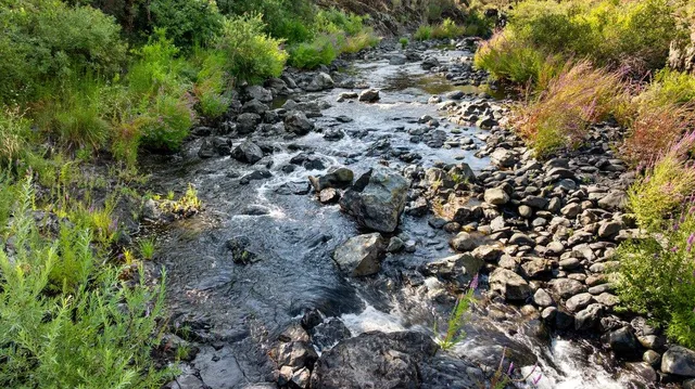 $850,000 | 23392 Meyer Ravine Road, Grass Valley, CA 95949