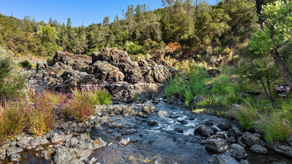 23392 Meyer Ravine Road Grass Valley, CA 95949 - Photo 53 of 58 a view of a lush green forest with lots of trees
