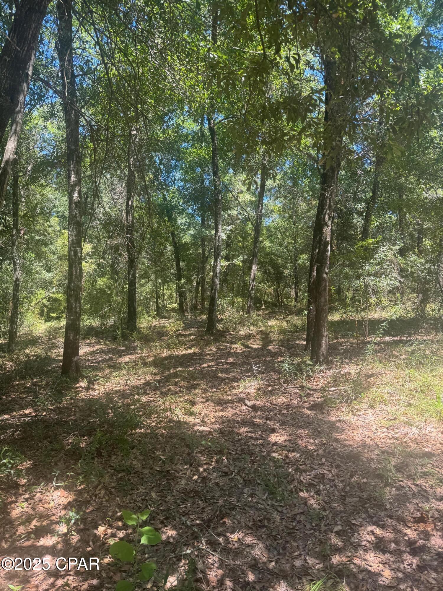 0 Dove Court Chipley, FL 32428 - Photo 1 of 10