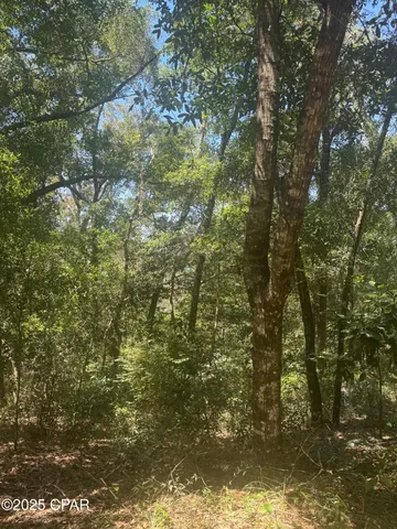 $35,000 | 0 Dove Court, Chipley, FL 32428