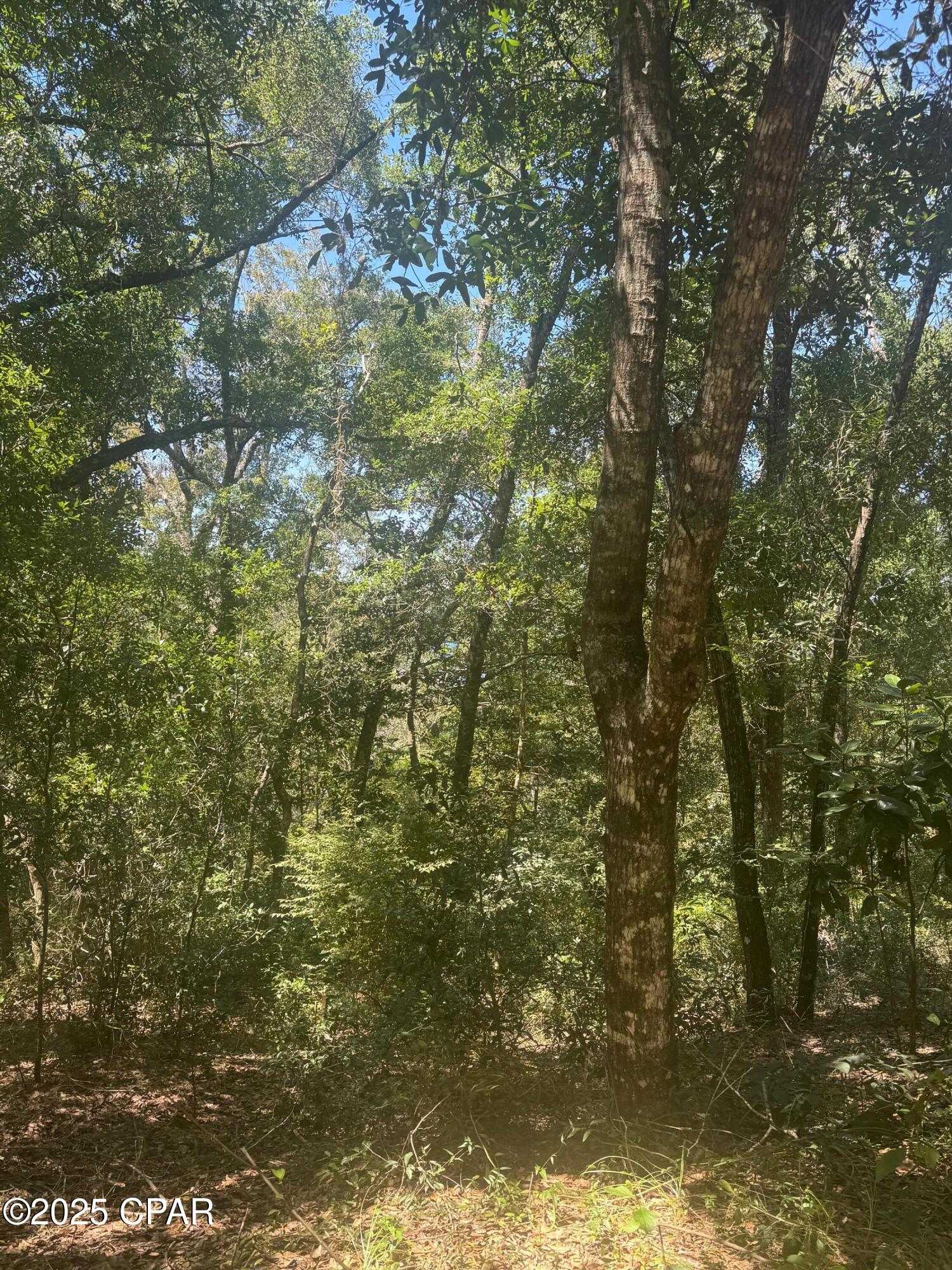 0 Dove Court Chipley, FL 32428 - Photo 2 of 10