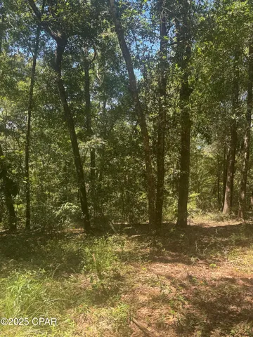 $35,000 | 0 Dove Court, Chipley, FL 32428