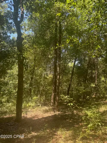 $35,000 | 0 Dove Court, Chipley, FL 32428