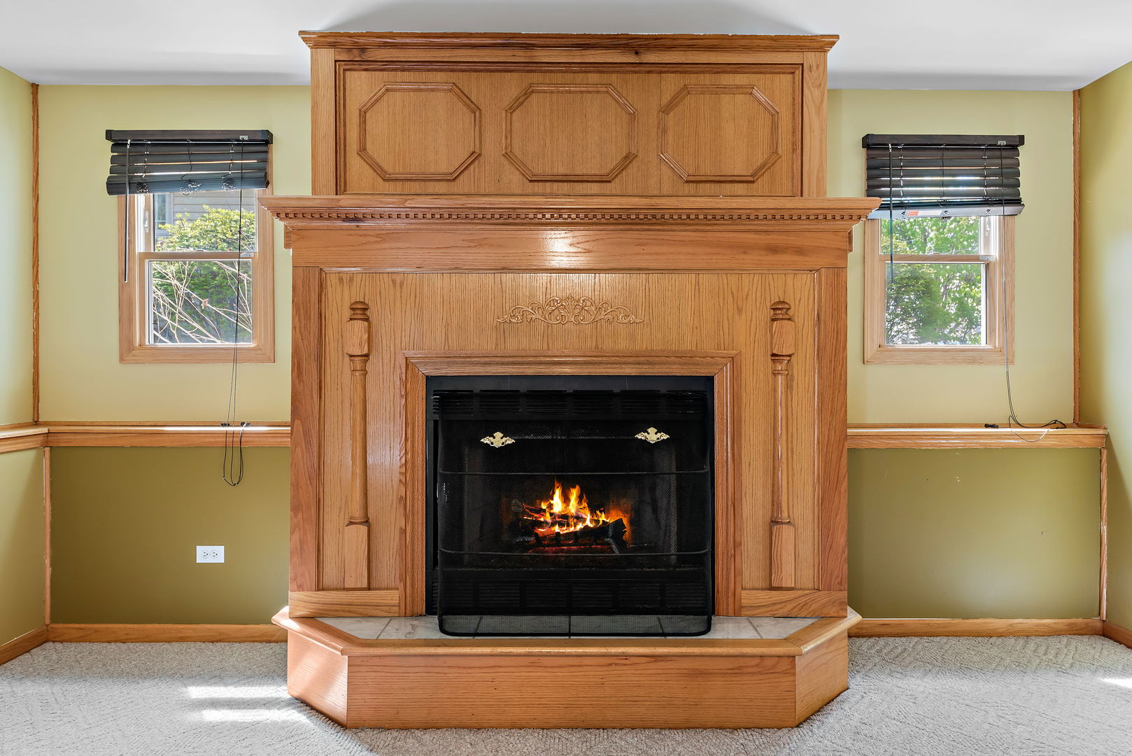 372 Jefferson Street Manteno, IL 60950 - Photo 10 of 24 a living room with a fireplace and a fireplace