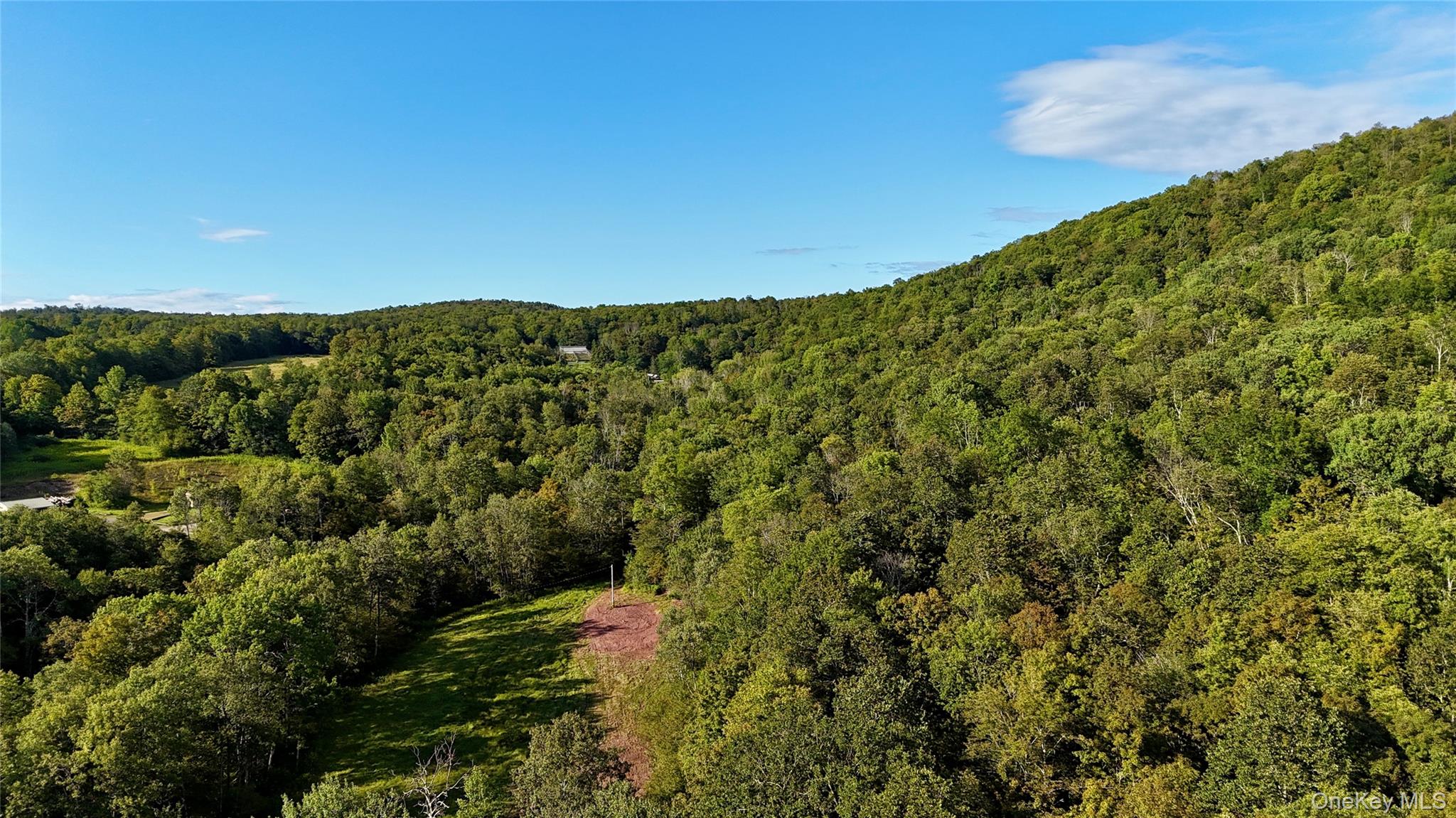 216 Neer Road Long Eddy, NY 12760 - Photo 39 of 48