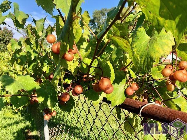 4813 Capital Heights Avenue Baton Rouge, LA 70806 - Photo 16 of 20