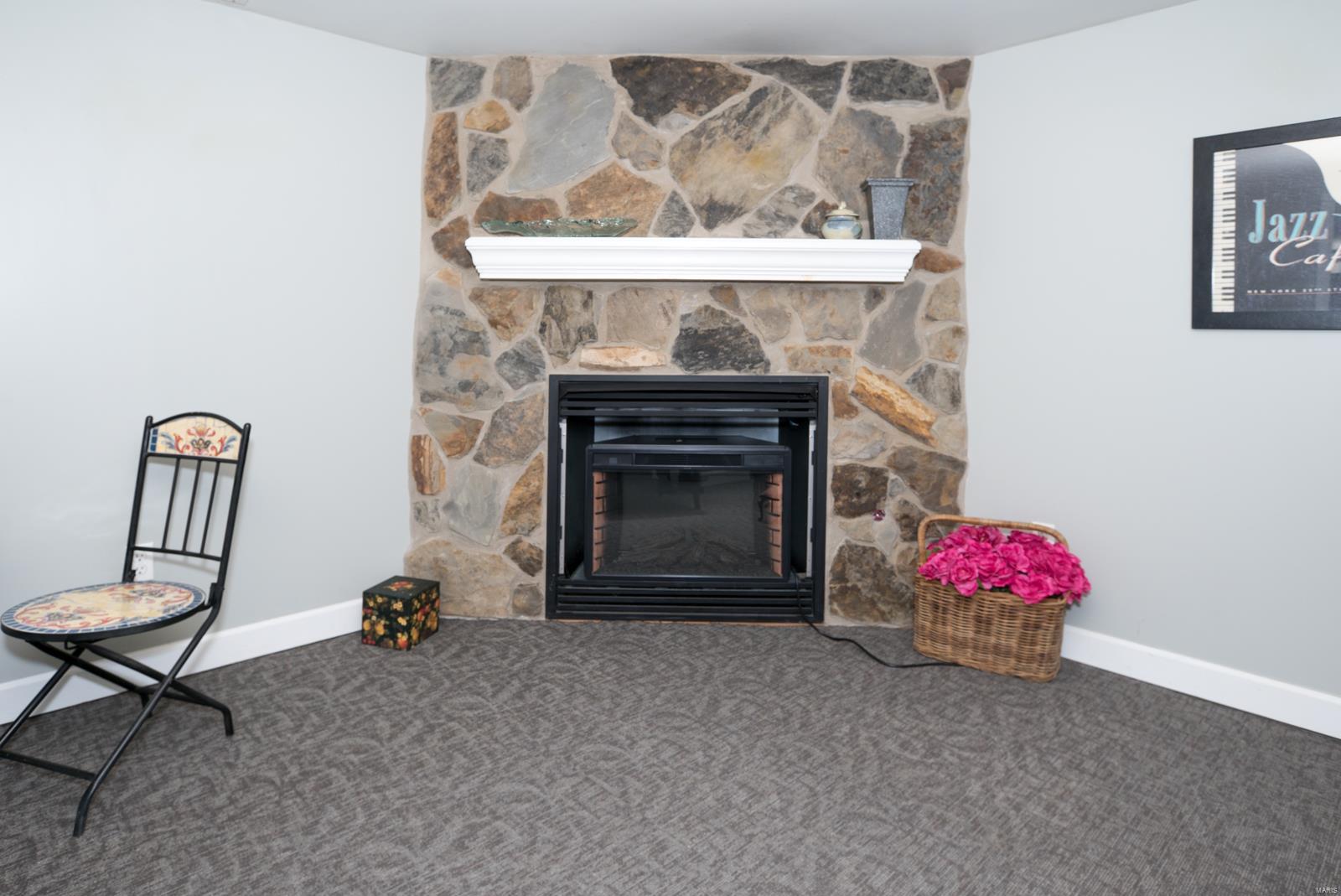 801 Edgar Road Webster Groves, MO 63119 - Photo 34 of 49 Gallery Image 34