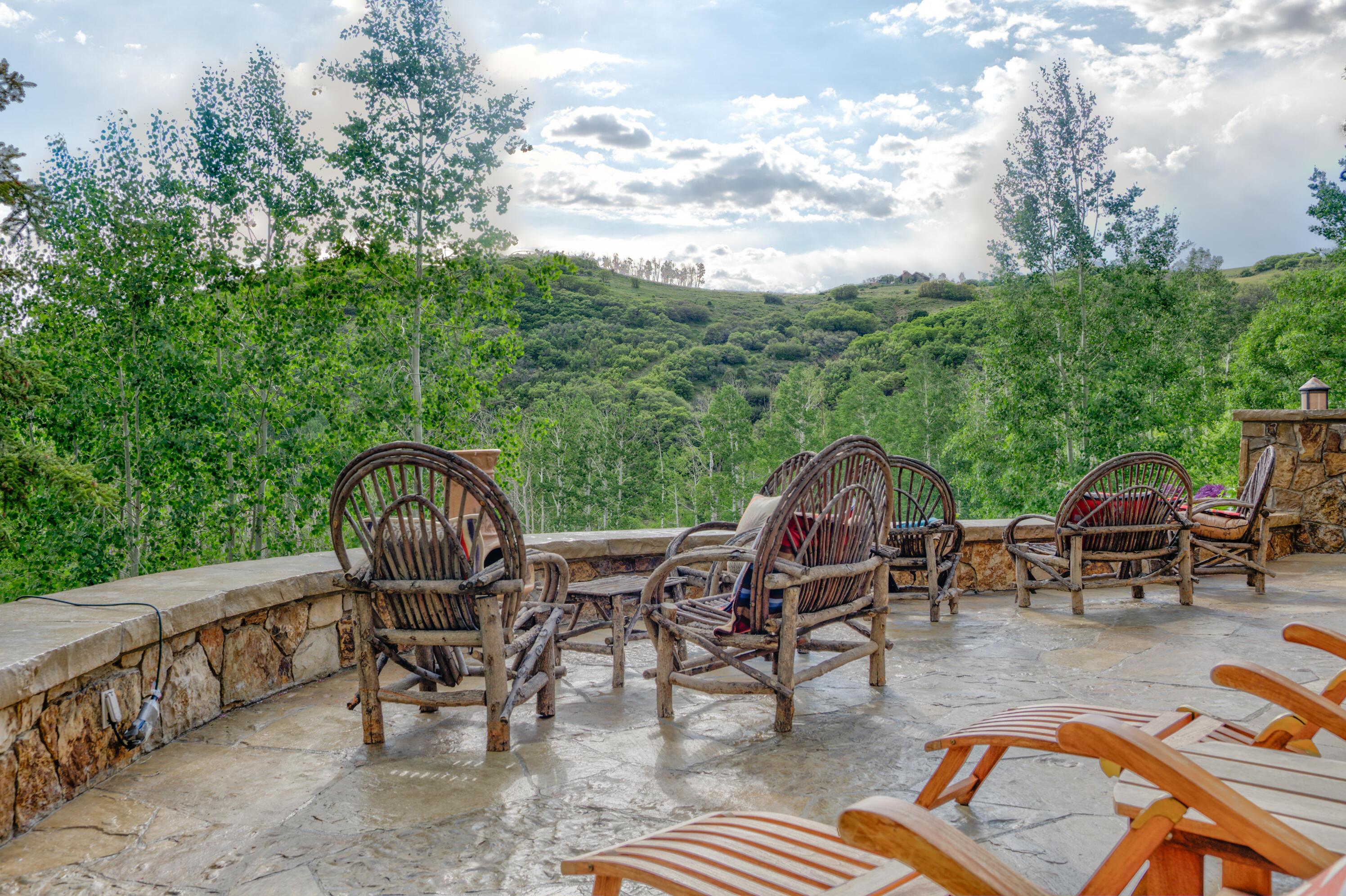 6131 Last Dollar Road Telluride, CO 81435 - Photo 27 of 86 P1440511_2_3_4_5_Realistic