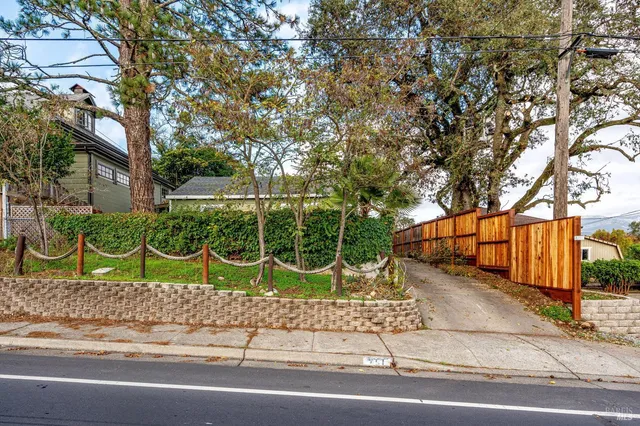 a view of backyard and tree